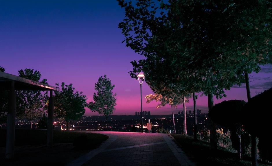 Gece Yarısı Parklarında Bir Yudum Huzur